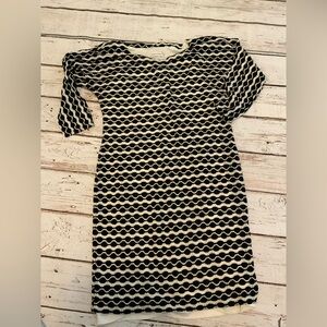 Calvin Klein Black White Eyelet Dress 8 - Coquette Romantic 3/4 Sleeve Fitted